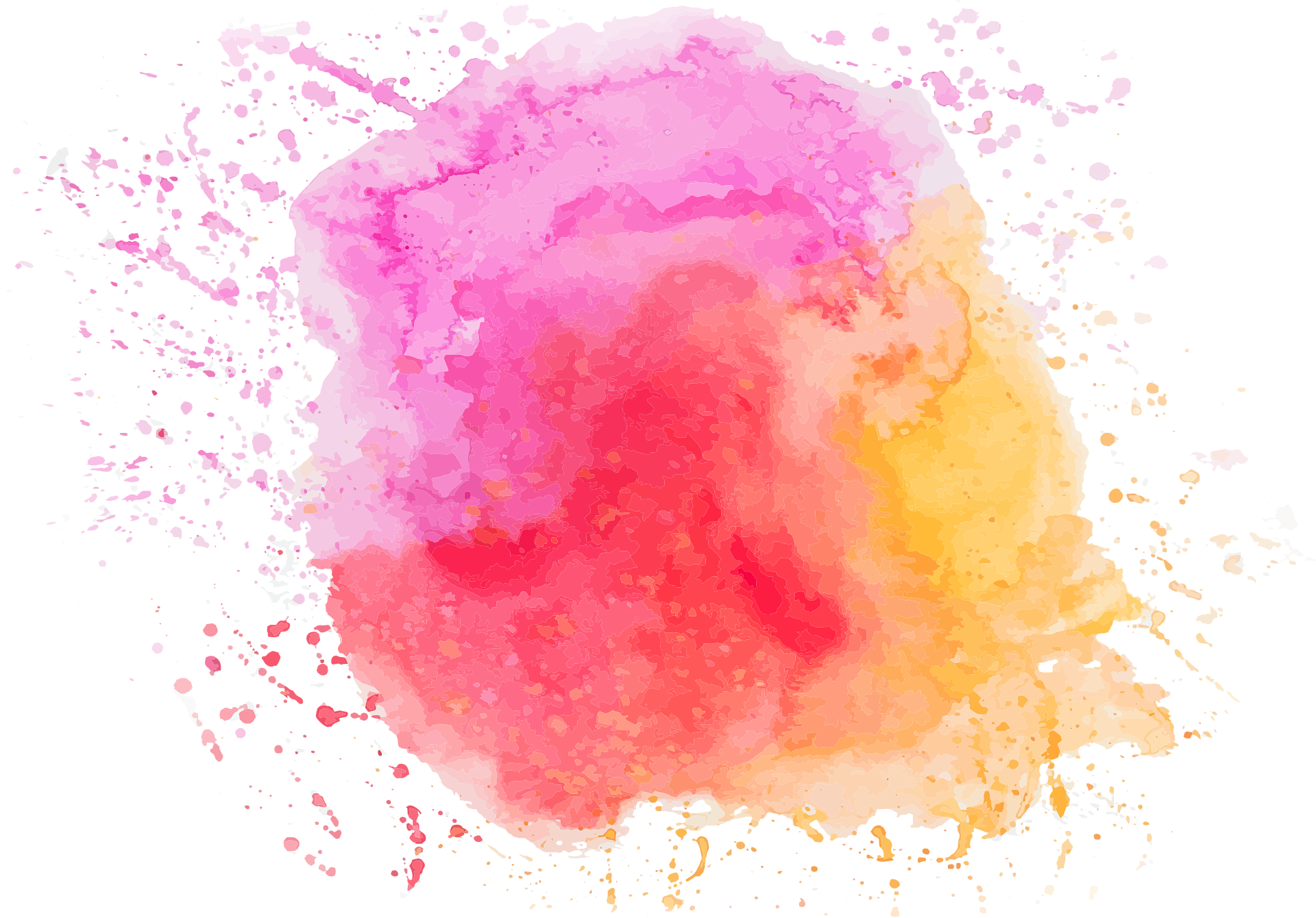 Il nostro team di sviluppo web